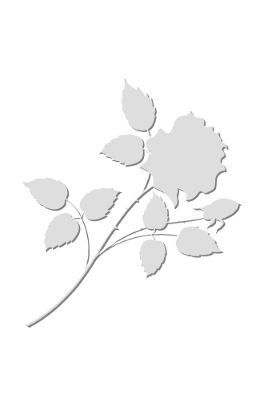 Flower, par Xavier E. G. Dierick